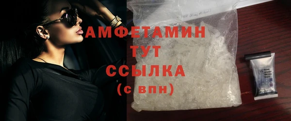 прущие грибы Великий Новгород