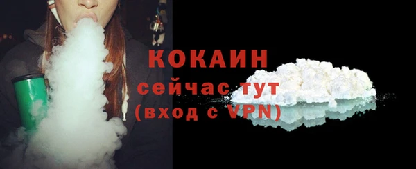 прущие грибы Великий Новгород