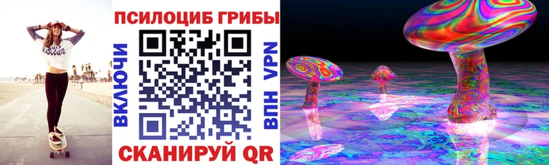 закладки Нижневартовск Галлюциногенные грибы Psilocybine cubensis