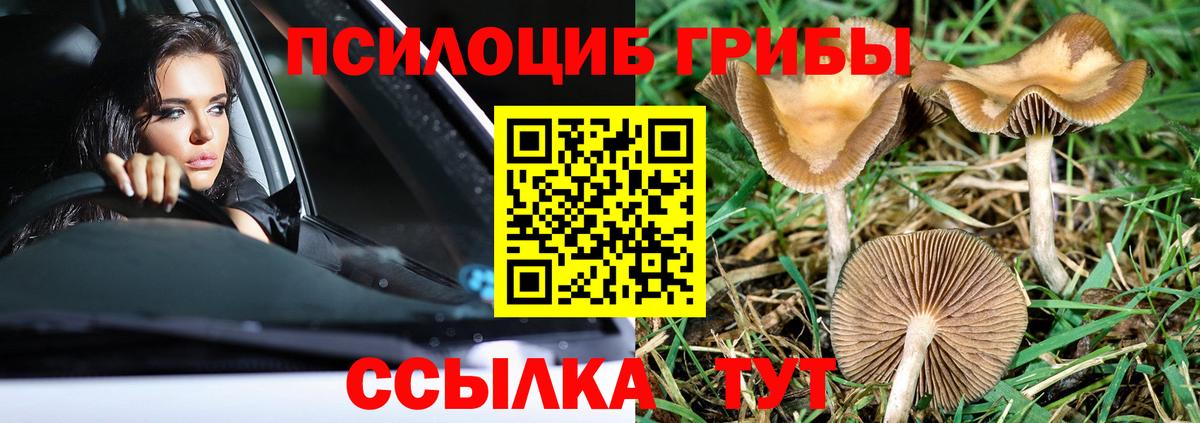 Нижневартовск  Псилоцибиновые грибы Psilocybe  купить наркоту  Вход с VPN  Псилоцибиновые грибы Psilocybe 