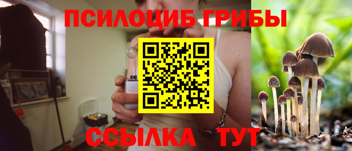 Псилоцибиновые грибы GOLDEN TEACHER Нижневартовск
